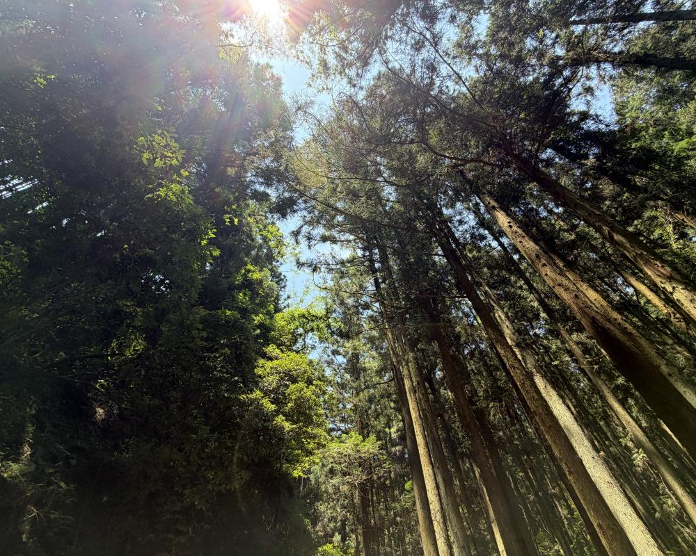 汗だくの夏こそ、秋の出来を左右する