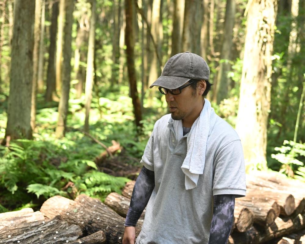 原木シイタケを育てることは、山を育てること