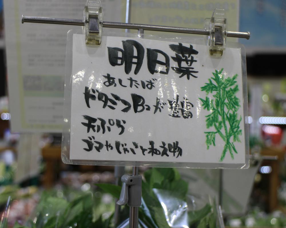 明日葉ポップ