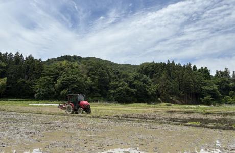 田んぼが広がる里山