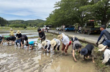 東京でお米をつくる、苦労と魅力