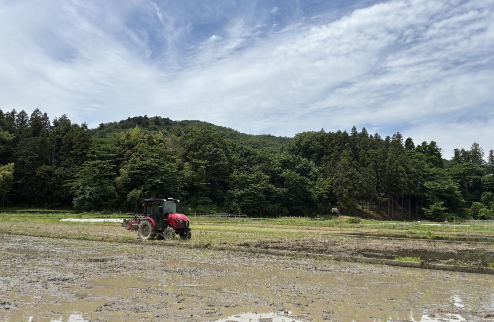 田んぼが広がる里山