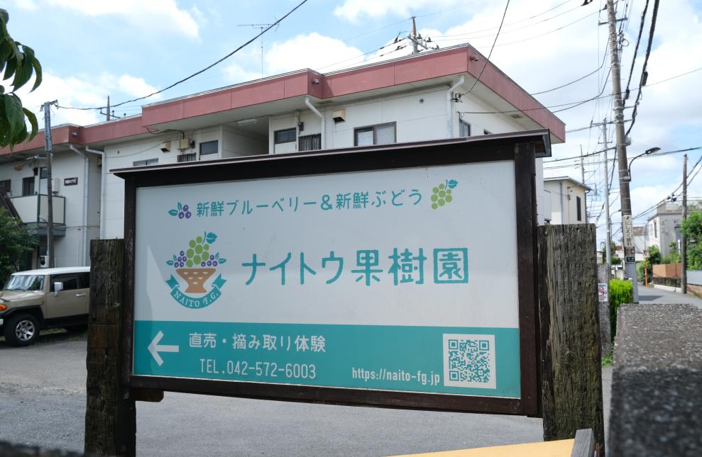 ナイトウ果樹園看板