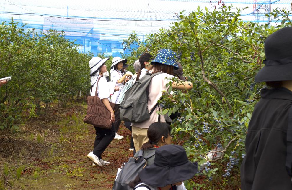 畑の見学会