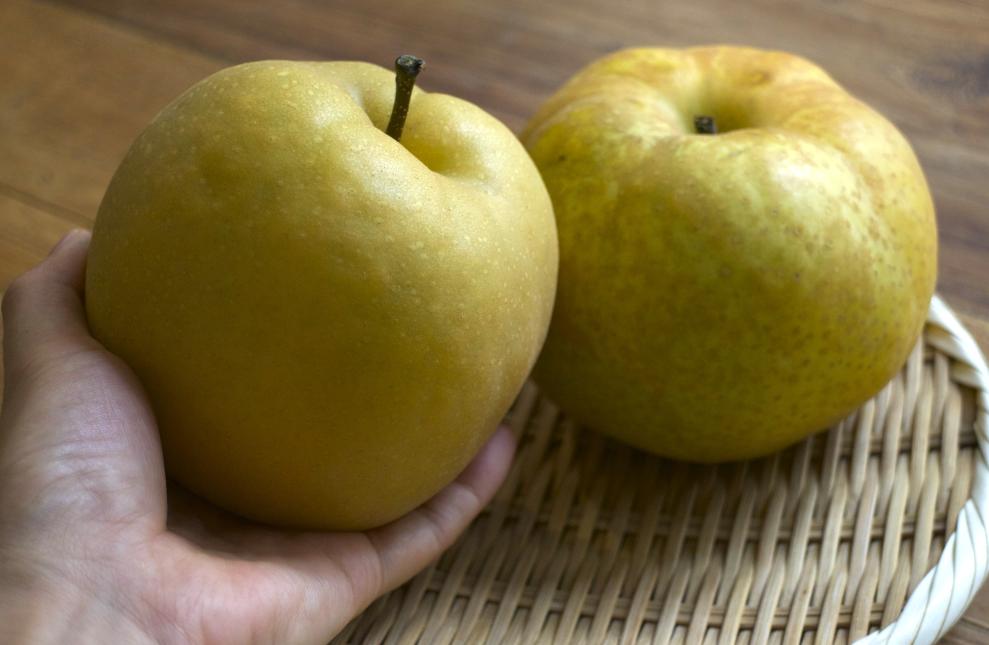 大きさにもびっくり！稲城の梨