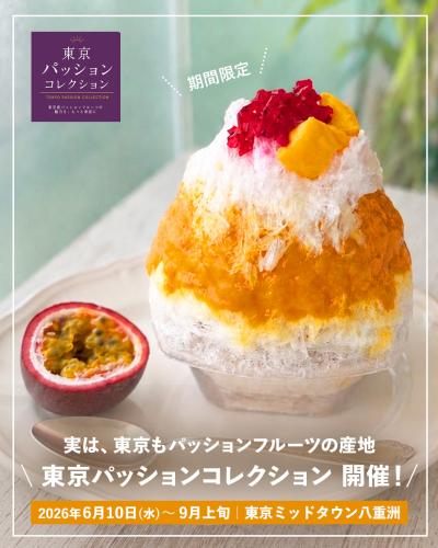 かき氷写真